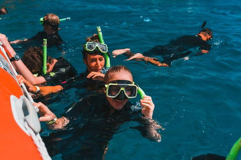 Whitehaven Beach And Hill Inlet Lookout Full-Day Snorkeling Cruise By High-Speed Catamaran - Accommodation Sunshine Coast 3