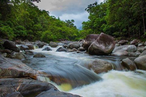 Cape Tribulation Day Tour - Accommodation Sunshine Coast 0
