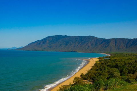 Cape Tribulation Day Tour - Accommodation Sunshine Coast 1