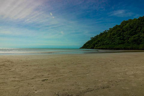 Cape Tribulation Day Tour - Accommodation Sunshine Coast 2