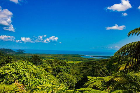 Cape Tribulation Day Tour - Accommodation Sunshine Coast 3
