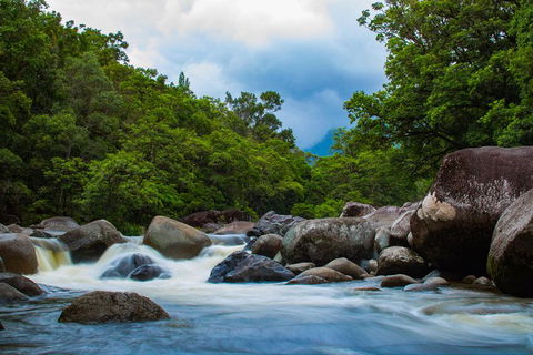Cape Tribulation Day Tour - Accommodation Sunshine Coast 4