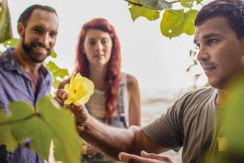 Ngana Julaymba Dungay - Full Day - Accommodation Sunshine Coast 4