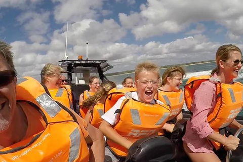 Noosa Thriller - 500hp Ocean Adventure Ride - Accommodation Sunshine Coast 1