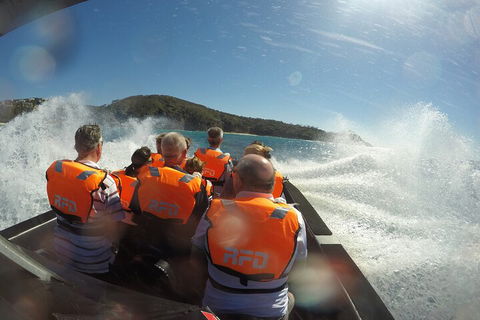 Noosa Thriller - 500hp Ocean Adventure Ride - Accommodation Sunshine Coast 3