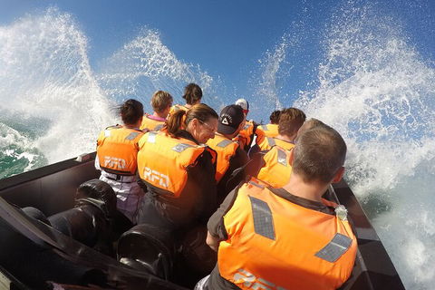Noosa Thriller - 500hp Ocean Adventure Ride - Accommodation Sunshine Coast 4