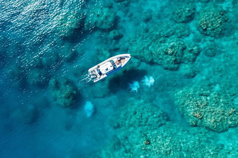 Premium Private Charter - Accommodation Sunshine Coast 0