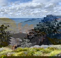 Blue Mountains Private Tour - wild kangaroos waterfalls and The Three Sisters - Accommodation Sunshine Coast