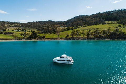 Deep-to-Dish: Tasmanian Seafood Experience - Accommodation Sunshine Coast 0