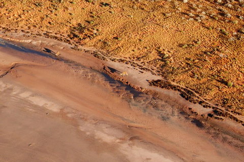Scenic Flight: Lizard Safari - Accommodation Sunshine Coast 0