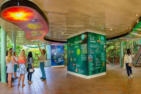 Skyrail & Kuranda Train Day Trip From Cairns - Accommodation Sunshine Coast 0