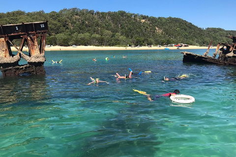All Inclusive Dolphin And Tangalooma Wrecks Cruise - Accommodation Sunshine Coast 0