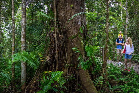 Kuranda Day Tour + HotAir Balloon Combo - Accommodation Sunshine Coast 3