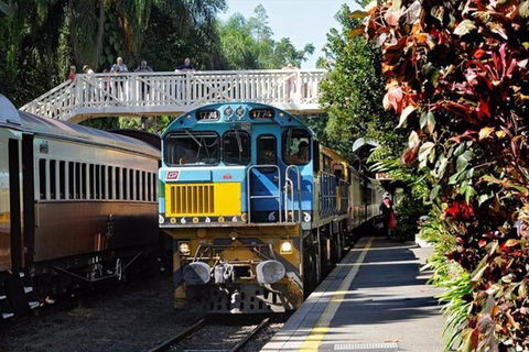 Kuranda Day Tour + HotAir Balloon Combo - Accommodation Sunshine Coast 4