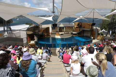 Sydney Taronga Zoo General Entry Ticket - Accommodation Sunshine Coast 5