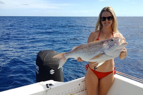 1/2 Day 5 Hour Offshore Fishing Charter - Accommodation Sunshine Coast 0