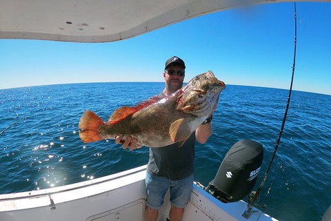 1/2 Day 5 Hour Offshore Fishing Charter - Accommodation Sunshine Coast 2