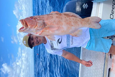 3/4 Day 7 Hour Offshore Fishing Charter - Accommodation Sunshine Coast 5