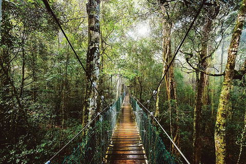 O'Reilly's & Lamington National Park From Gold Coast - Accommodation Sunshine Coast 0