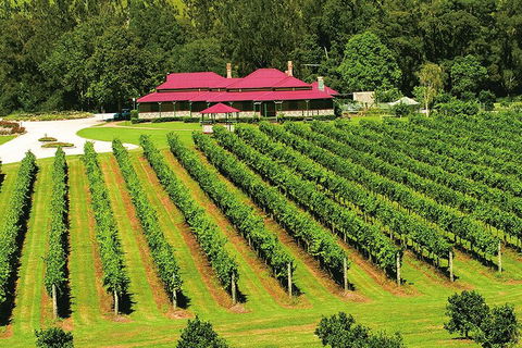 O'Reilly's & Lamington National Park From Gold Coast - Accommodation Sunshine Coast 2