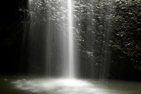 Natural Bridge Glow Worm Night Tour From Gold Coast - Accommodation Sunshine Coast 2