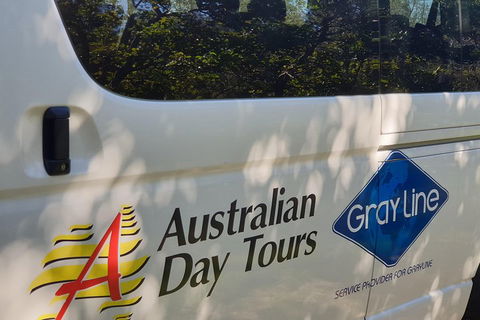Natural Bridge Glow Worm Night Tour From Gold Coast - Accommodation Sunshine Coast 5