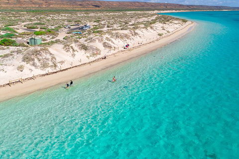 Ningaloo In A Day - Full Day Hike And Snorkel Tour With Lunch - Accommodation Sunshine Coast 0