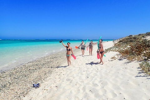 Ningaloo In A Day - Full Day Hike And Snorkel Tour With Lunch - Accommodation Sunshine Coast 1