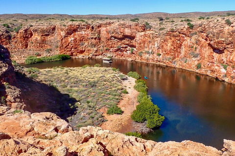Ningaloo In A Day - Full Day Hike And Snorkel Tour With Lunch - Accommodation Sunshine Coast 2