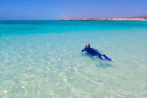 Ningaloo In A Day - Full Day Hike And Snorkel Tour With Lunch - Accommodation Sunshine Coast 4