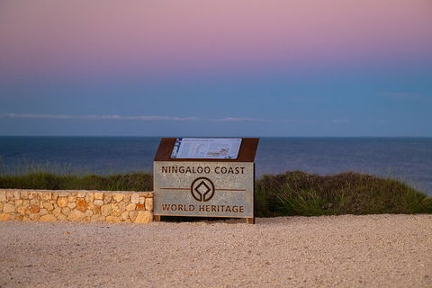 Ningaloo In A Day - Full Day Hike And Snorkel Tour With Lunch - Accommodation Sunshine Coast 5
