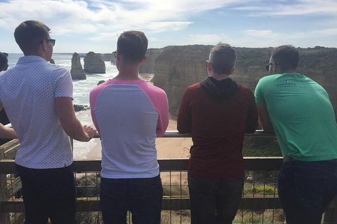 LGBT+ Friendly 3 Day Private Tour Great Ocean Road & Phillip Island - Accommodation Sunshine Coast 3