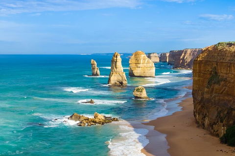 LGBT+ Friendly 3 Day Private Tour Great Ocean Road & Phillip Island - Accommodation Sunshine Coast 4