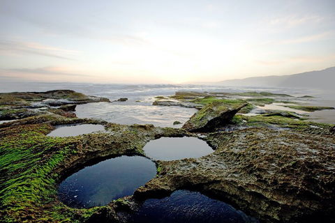 LGBT+ Friendly 3 Day Private Tour Great Ocean Road & Phillip Island - Accommodation Sunshine Coast 5