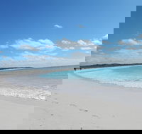 Shipwreck Special Nature Tour/Half Day Tour - Accommodation Sunshine Coast