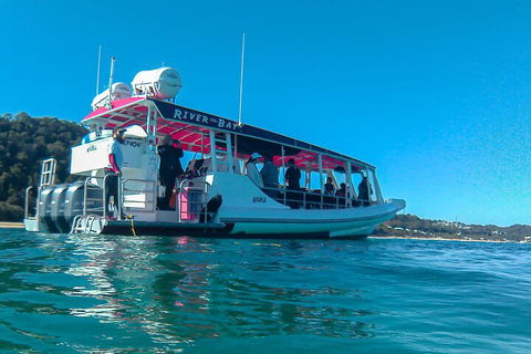 Best Of Moreton Bay Cruise - Accommodation Sunshine Coast 0