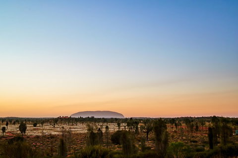 Uluru (Ayers Rock) Field Of Light Sunrise Tour - Accommodation Sunshine Coast 0