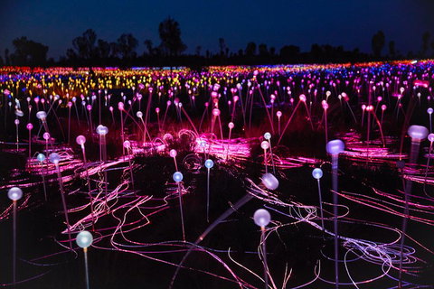 Uluru (Ayers Rock) Field Of Light Sunrise Tour - Accommodation Sunshine Coast 1