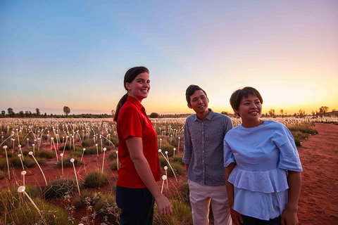 Uluru (Ayers Rock) Field Of Light Sunrise Tour - Accommodation Sunshine Coast 2