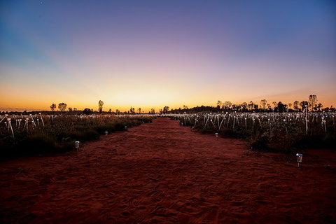 Uluru (Ayers Rock) Field Of Light Sunrise Tour - Accommodation Sunshine Coast 3
