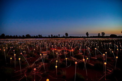 Uluru (Ayers Rock) Field Of Light Sunrise Tour - Accommodation Sunshine Coast 4