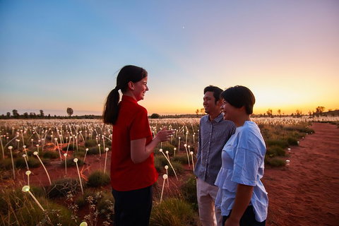 Uluru (Ayers Rock) Field Of Light Sunrise Tour - Accommodation Sunshine Coast 5