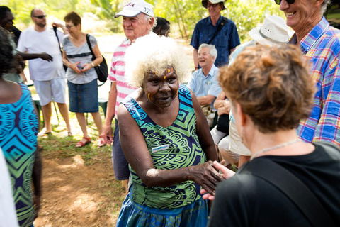Tiwi Islands Cultural Experience From Darwin Including Ferry - Accommodation Sunshine Coast 0