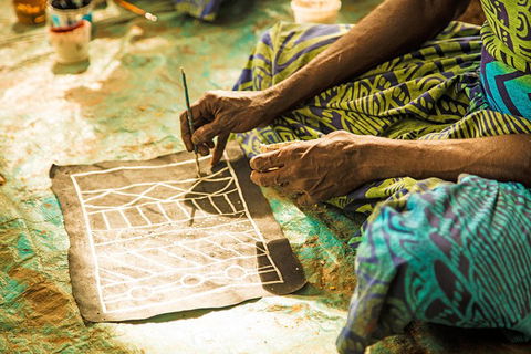 Tiwi Islands Cultural Experience From Darwin Including Ferry - Accommodation Sunshine Coast 1