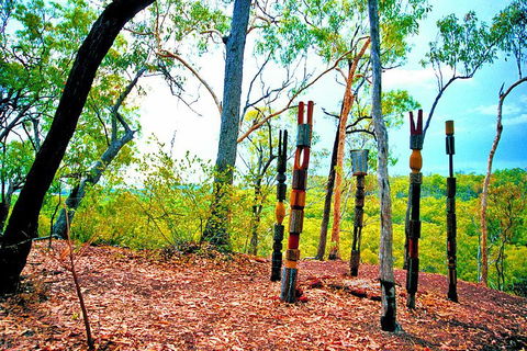 Tiwi Islands Cultural Experience From Darwin Including Ferry - Accommodation Sunshine Coast 3