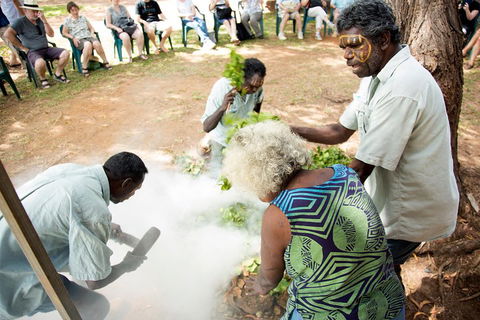 Tiwi Islands Cultural Experience From Darwin Including Ferry - Accommodation Sunshine Coast 4