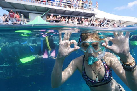 Great Barrier Reef Day Cruise From Cairns Including Snorkeling And Marine Biologist Presentation - Accommodation Sunshine Coast 0