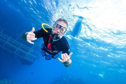 Great Barrier Reef Day Cruise From Cairns Including Snorkeling And Marine Biologist Presentation - Accommodation Sunshine Coast 3