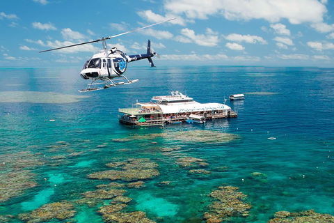 Great Barrier Reef Day Cruise From Cairns Including Snorkeling And Marine Biologist Presentation - Accommodation Sunshine Coast 5