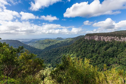 Natural Bridge & Springbrook Waterfalls Tour - Accommodation Sunshine Coast 1